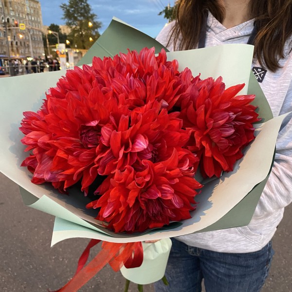 Красные георгины