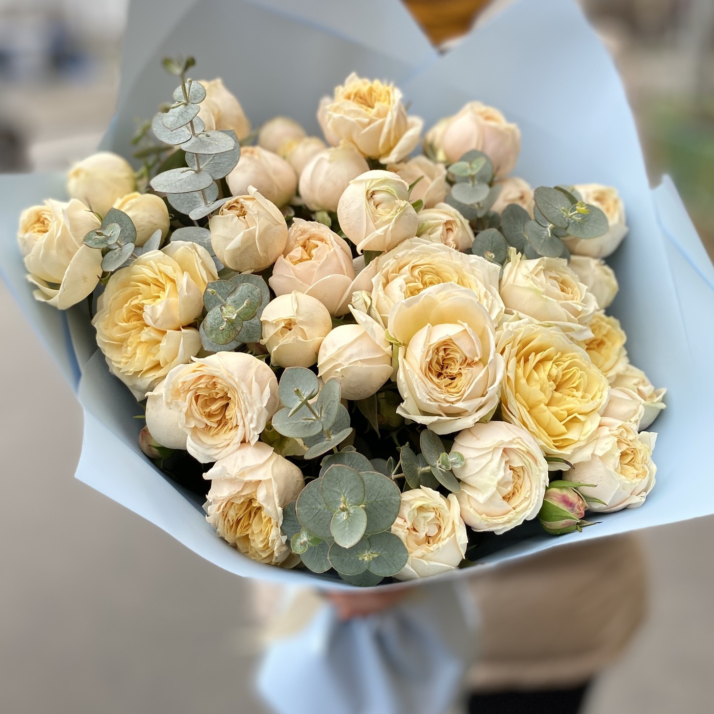 Пионовидные желтые розы недорого