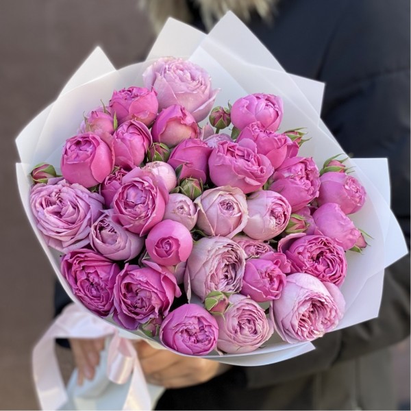 Дуэт Мисти Баблс и Лавандер лейс