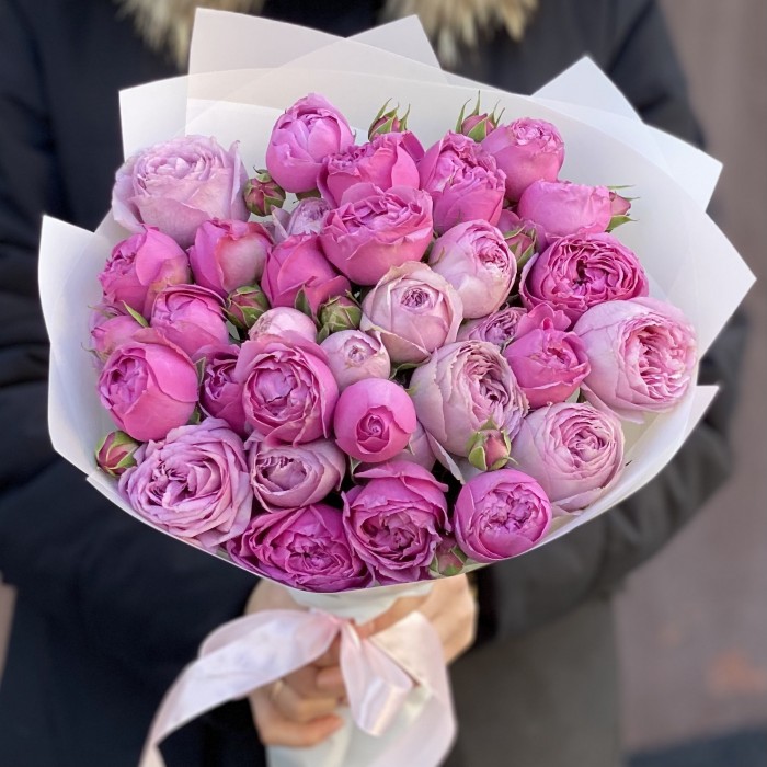 Дуэт Мисти Баблс и Лавандер лейс