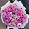 Дуэт Мисти Баблс и Лавандер лейс
