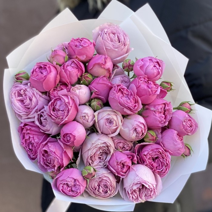 Дуэт Мисти Баблс и Лавандер лейс