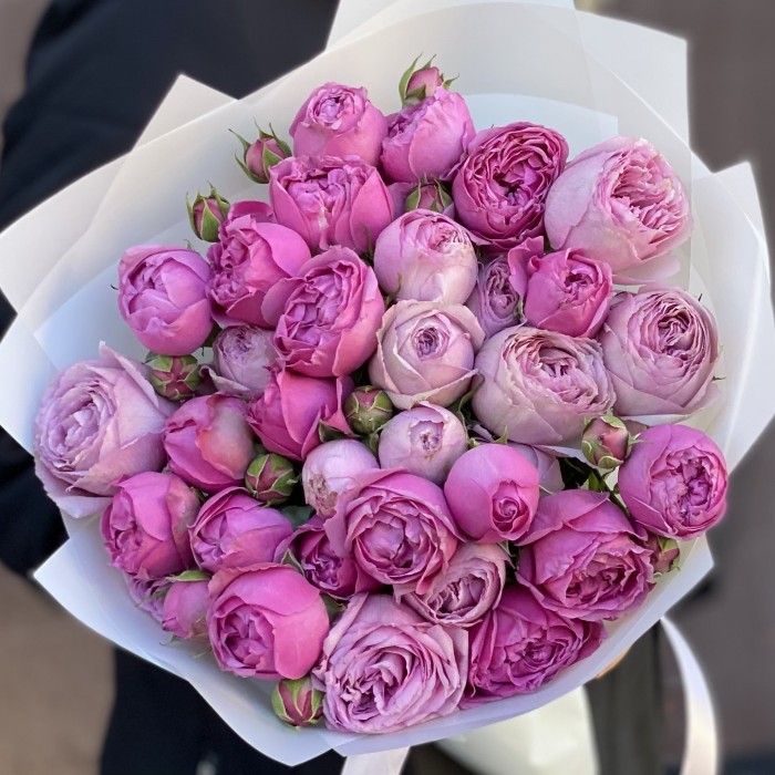 Дуэт Мисти Баблс и Лавандер лейс