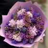 25 ароматных гиацинтов с шамелациумом