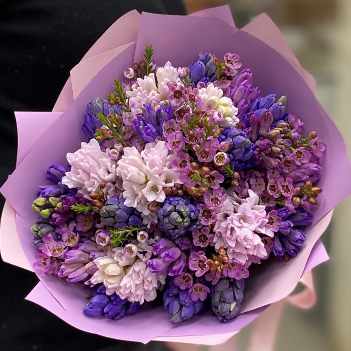 25 ароматных гиацинтов с шамелациумом