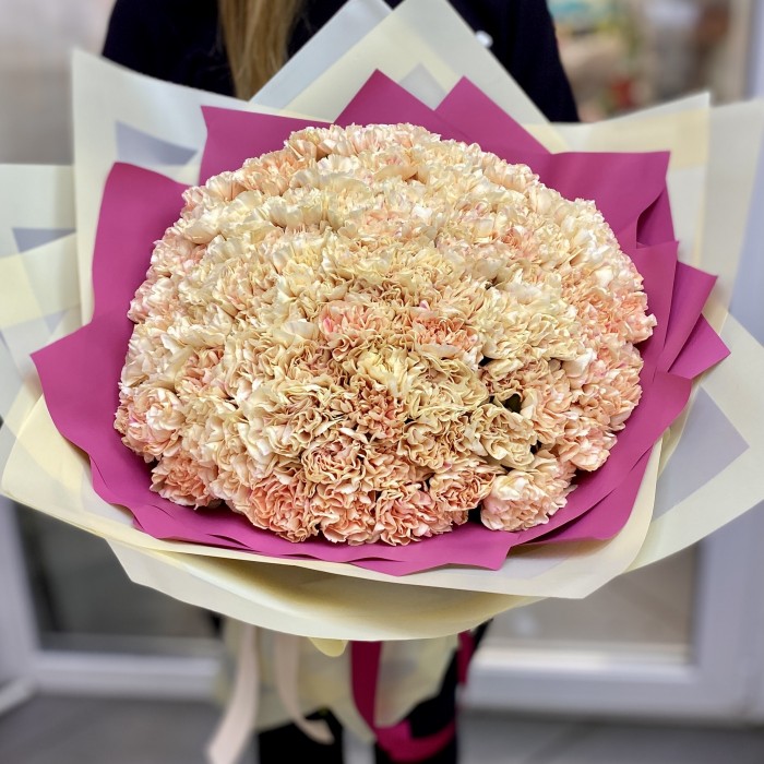 101 персиковая гвоздика