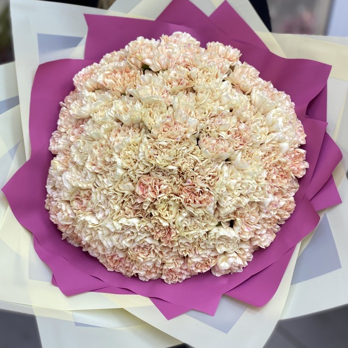 101 персиковая гвоздика