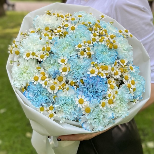 17 голубых  гвоздик Блю Молли с ромашками