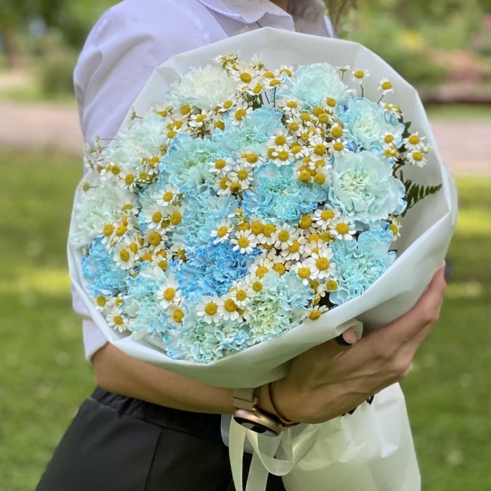 17 голубых  гвоздик Блю Молли с ромашками