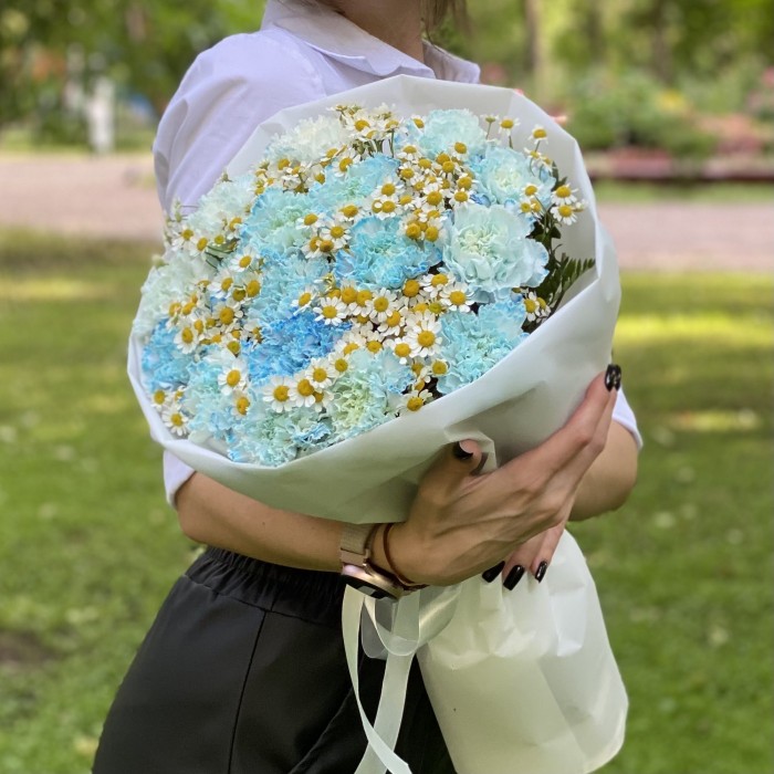 17 голубых  гвоздик Блю Молли с ромашками