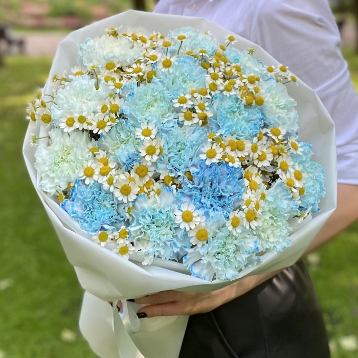 17 голубых  гвоздик Блю Молли с ромашками