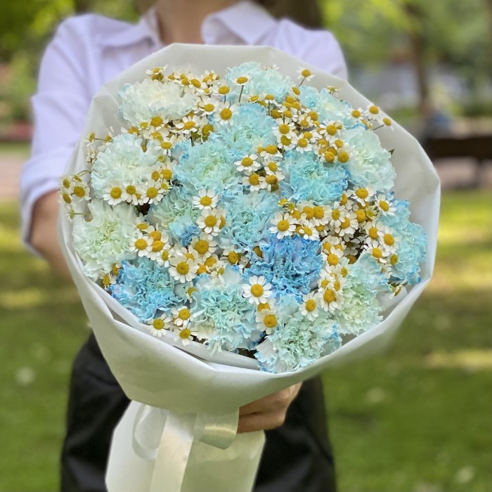 17 голубых  гвоздик Блю Молли с ромашками