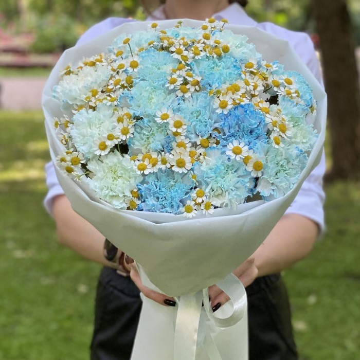 17 голубых  гвоздик Блю Молли с ромашками
