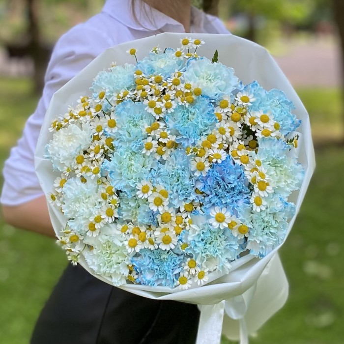 17 голубых  гвоздик Блю Молли с ромашками