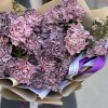 25 гвоздик Пинк Блэк Молли с ваксфлауэром