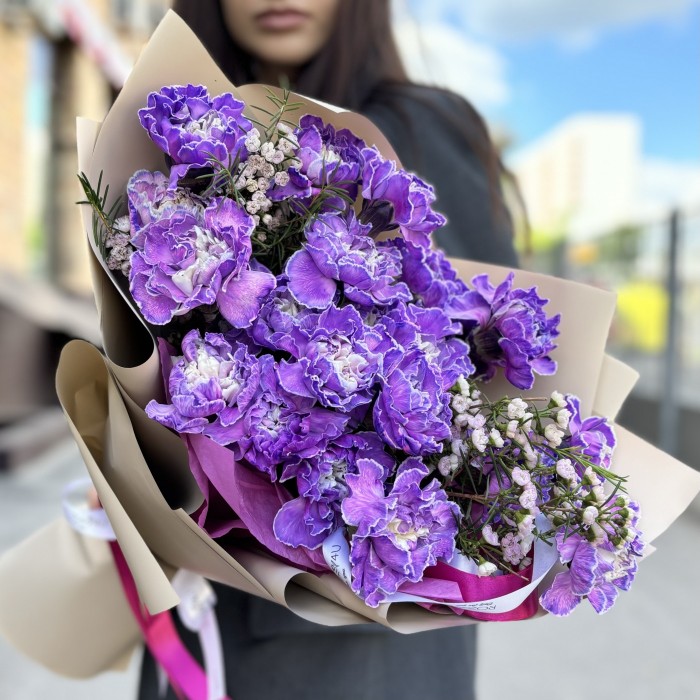 25 гвоздик Вайт Перпл Молли с ваксфлауэром