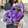 25 гвоздик Вайт Перпл Молли с ваксфлауэром