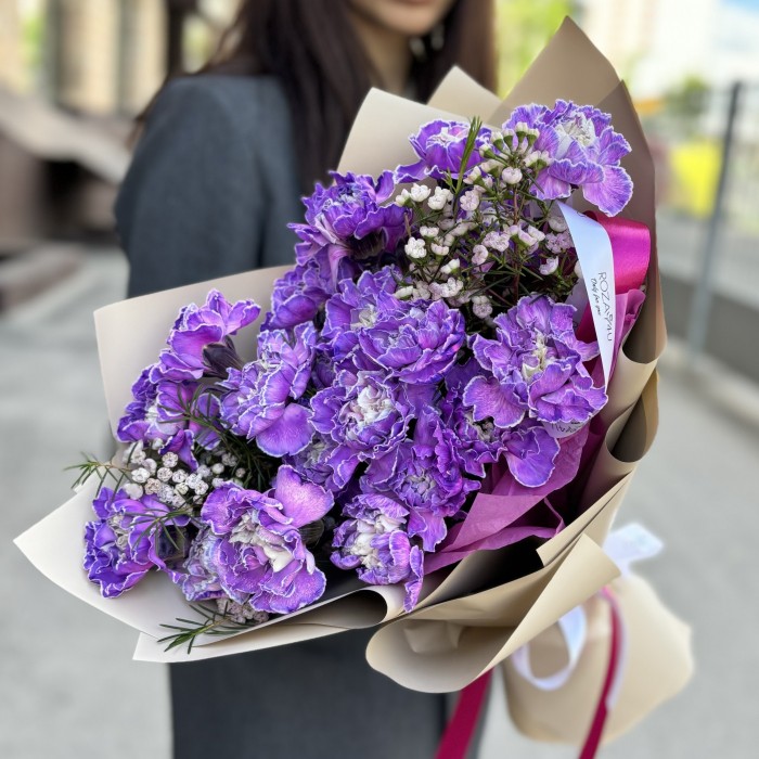 25 гвоздик Вайт Перпл Молли с ваксфлауэром