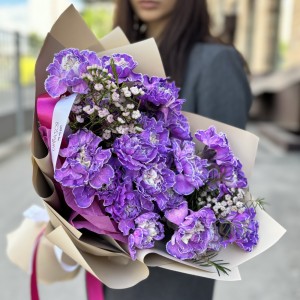 25 гвоздик Вайт Перпл Молли с ваксфлауэром