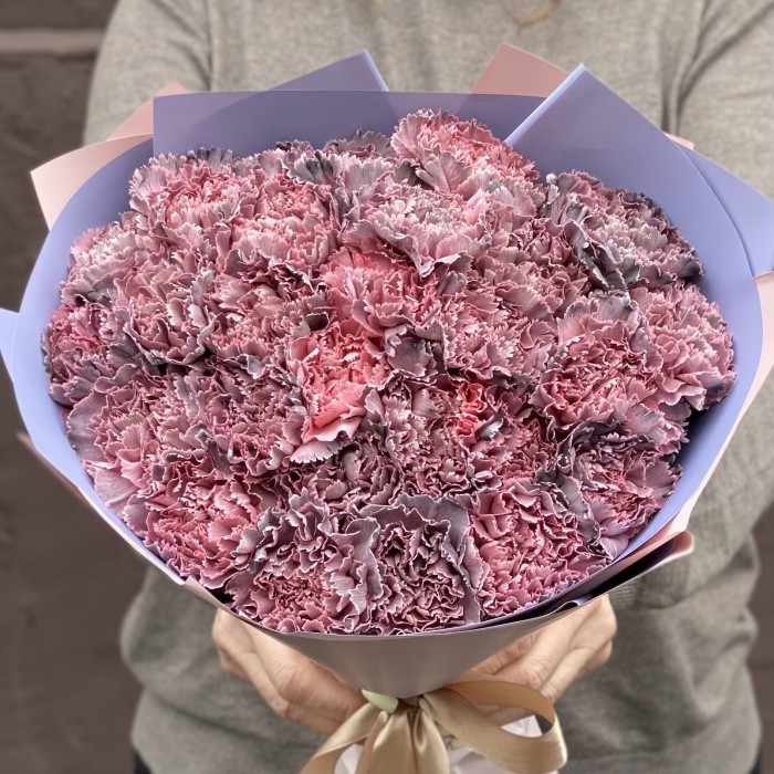 Букет 25 гвоздик Пинк блэк Молли