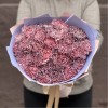 Букет 25 гвоздик Пинк блэк Молли