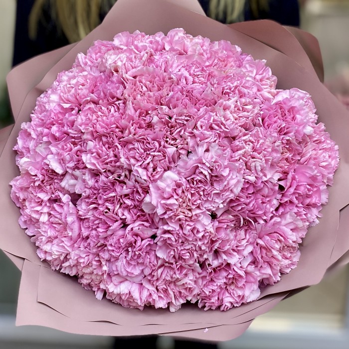 51 розовая гвоздика