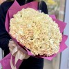 51 персиковая гвоздика