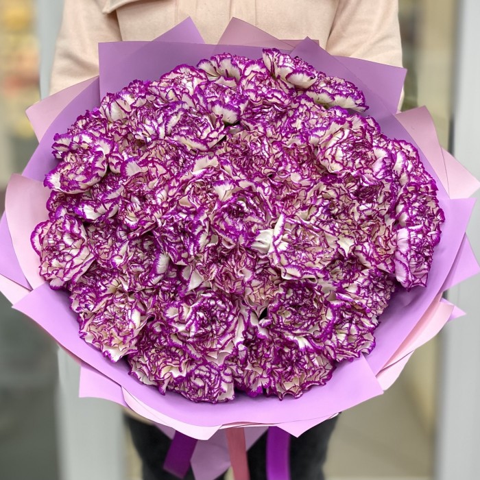 51 бело-фиолетовая гвоздика