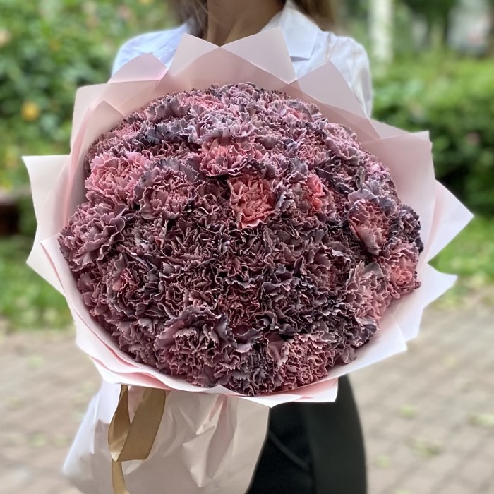 51 гвоздика Пинк блэк Молли