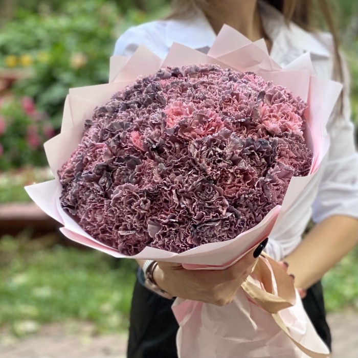 51 гвоздика Пинк блэк Молли