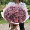 51 гвоздика Пинк блэк Молли