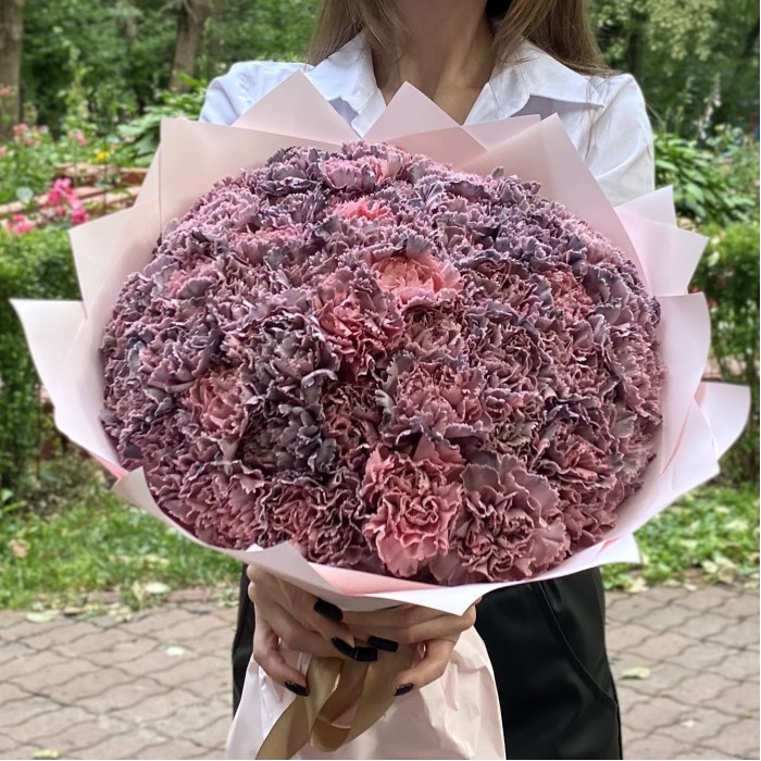 51 гвоздика Пинк блэк Молли