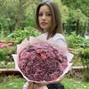 51 гвоздика Пинк блэк Молли