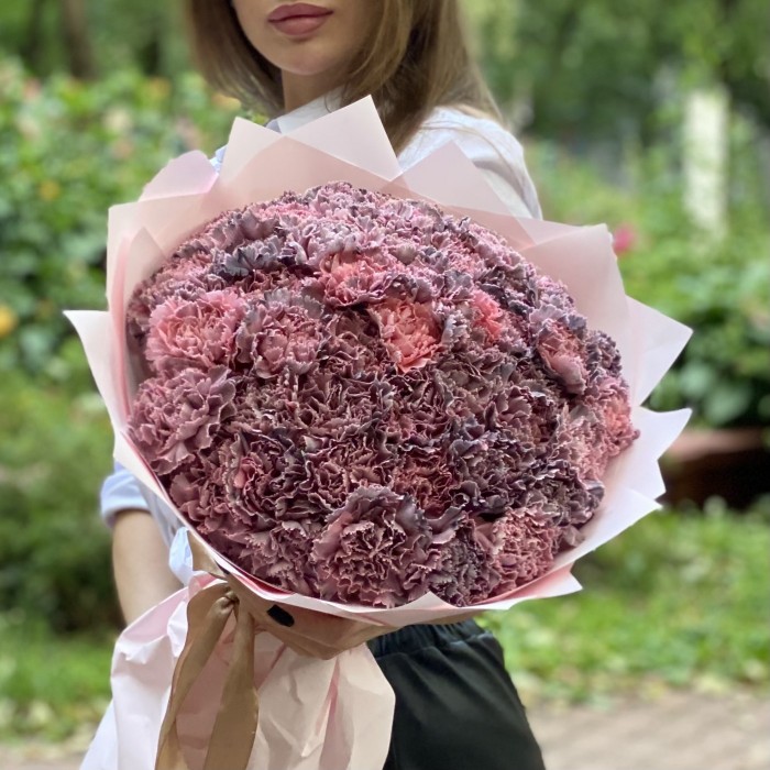 51 гвоздика Пинк блэк Молли