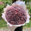 51 гвоздика Пинк блэк Молли