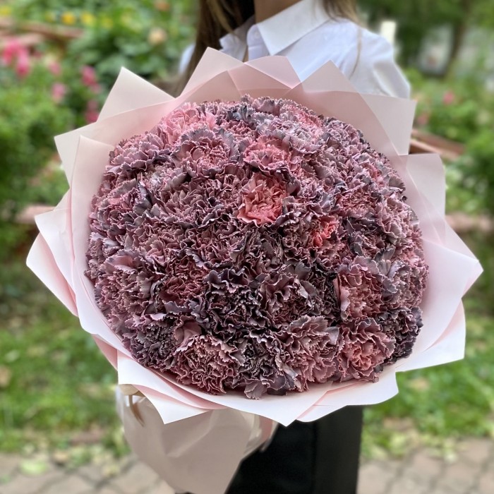 51 гвоздика Пинк блэк Молли