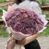 51 гвоздика Пинк блэк Молли