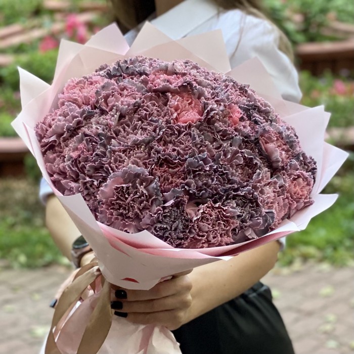 51 гвоздика Пинк блэк Молли