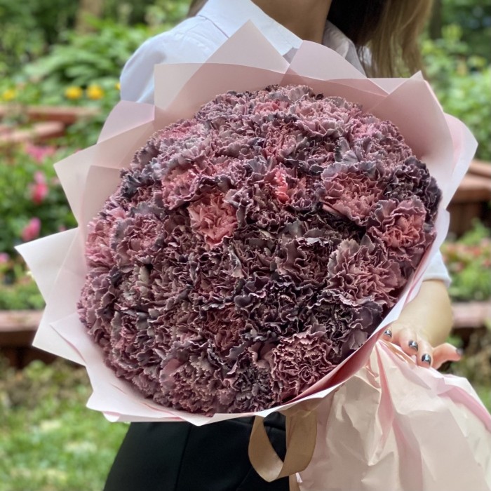 51 гвоздика Пинк блэк Молли