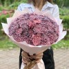 51 гвоздика Пинк блэк Молли