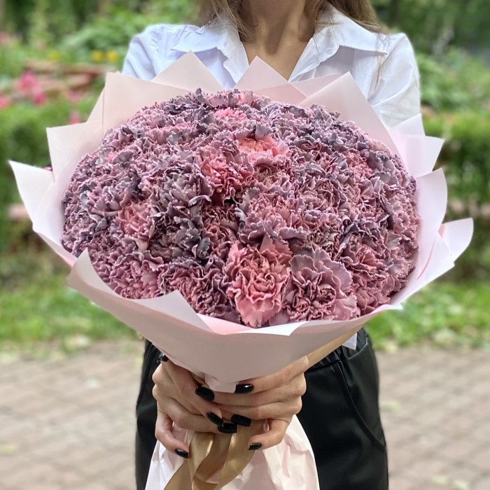 51 гвоздика Пинк блэк Молли