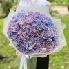 51 гвоздика Пинк блю Молли