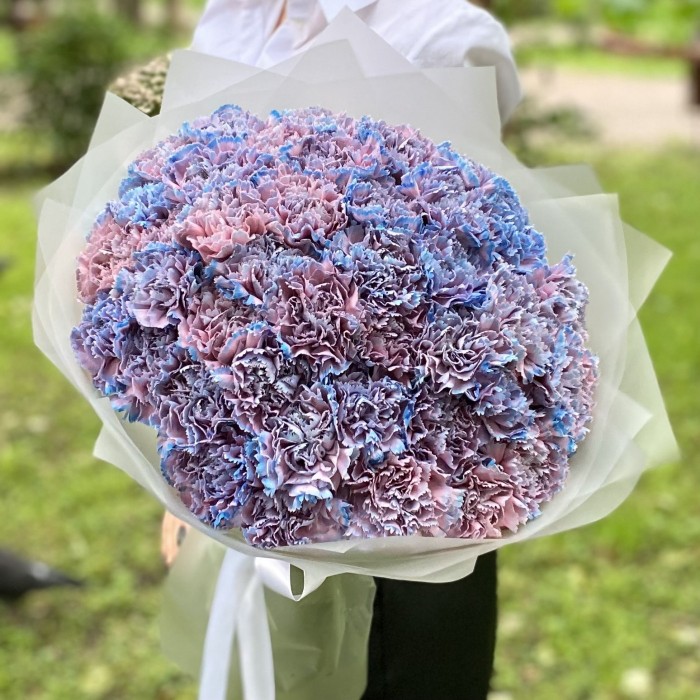 51 гвоздика Пинк блю Молли