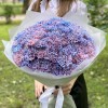 51 гвоздика Пинк блю Молли