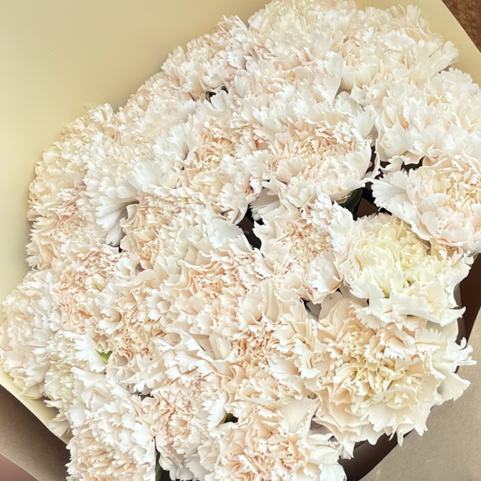 Букет гвоздик цвета жемчуга