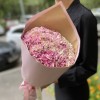 Букет гвоздик сорта Антигуа