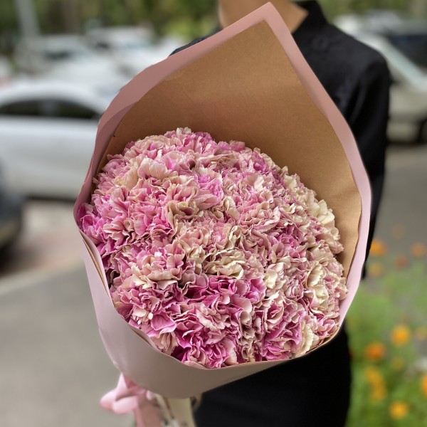 Букет гвоздик сорта Антигуа