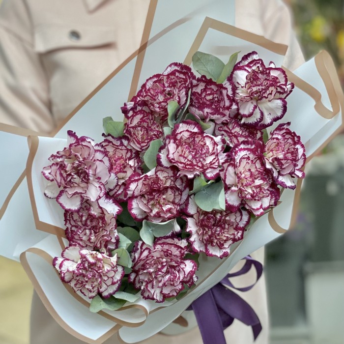 Букет гвоздик сорта Ноблесс