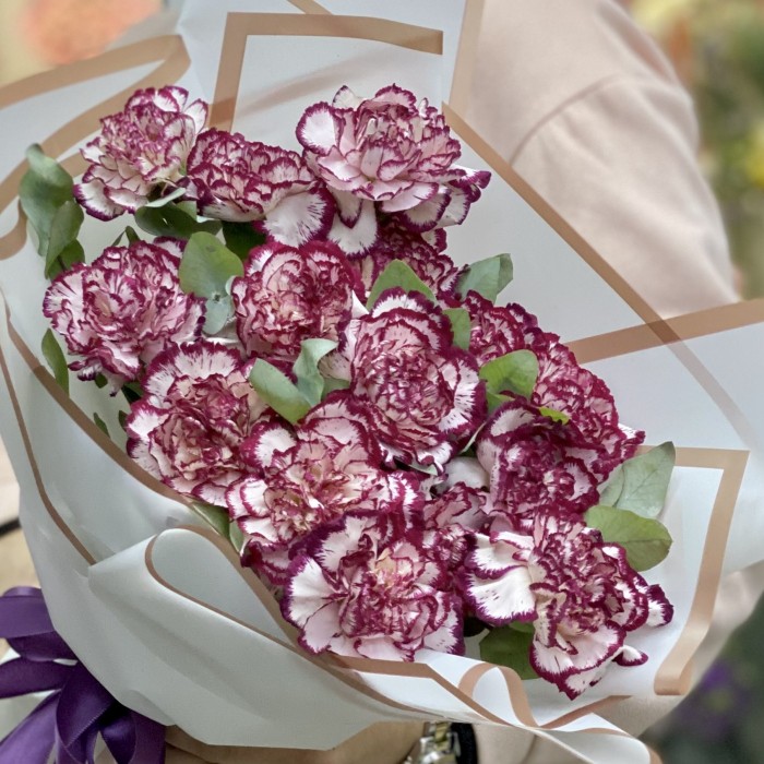 Букет гвоздик сорта Ноблесс