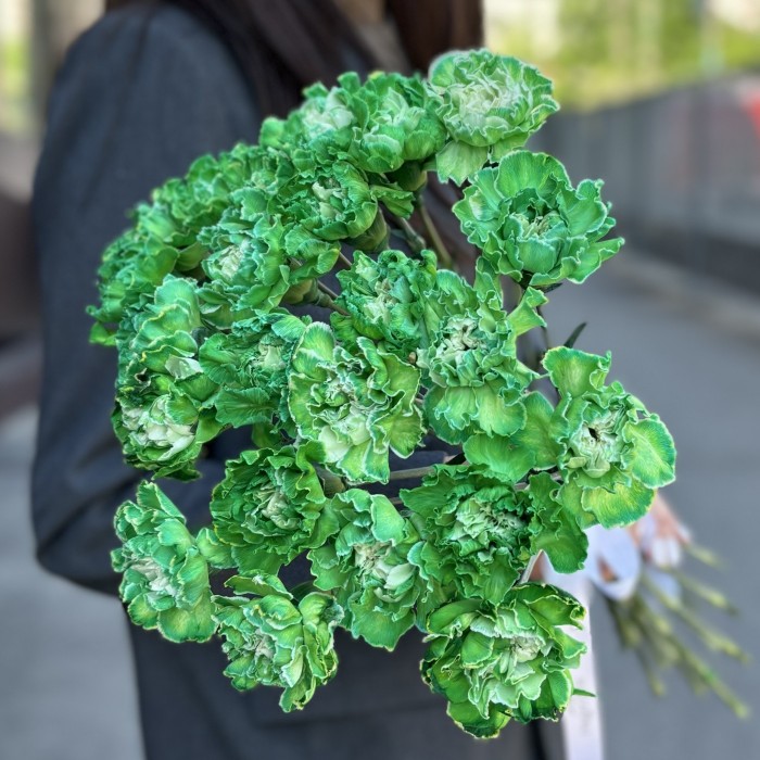 Гвоздика Грин Вайт Молли